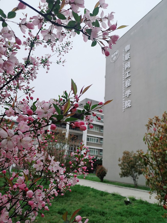 施小英-醉美我院.jpg